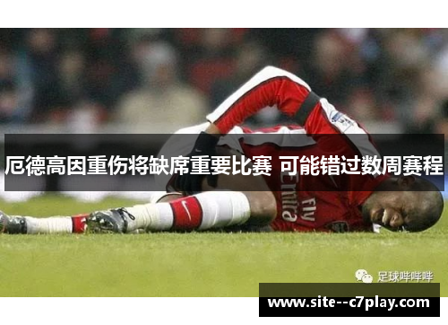 厄德高因重伤将缺席重要比赛 可能错过数周赛程 厄德高因重伤将缺席重要比赛 可能错过数周赛程