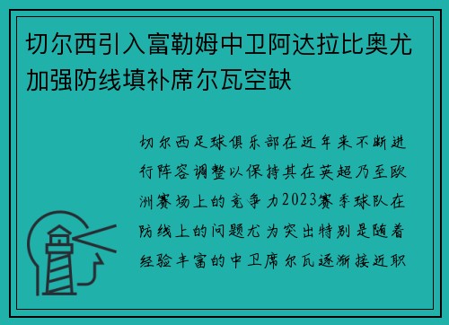 切尔西引入富勒姆中卫阿达拉比奥尤加强防线填补席尔瓦空缺